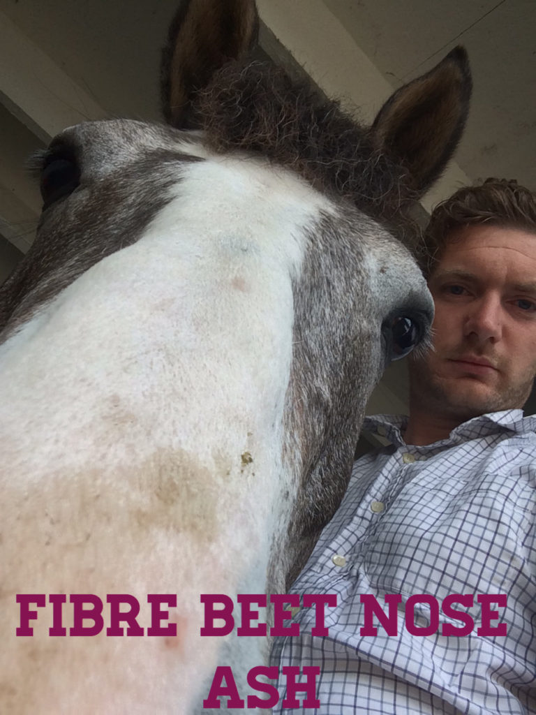 Read more about the article Speedi-Beet Team – January Updates