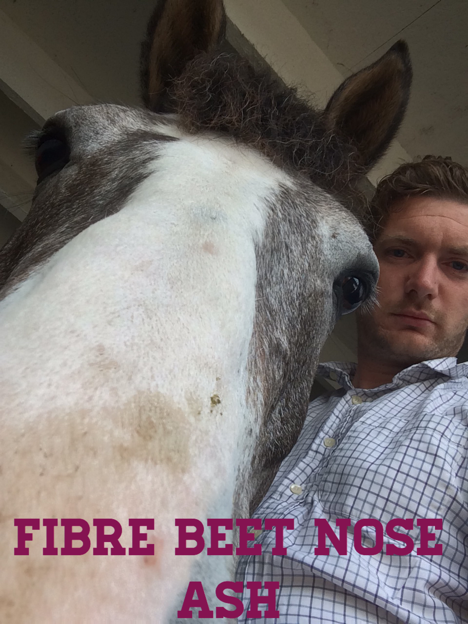 You are currently viewing Speedi-Beet Team – January Updates