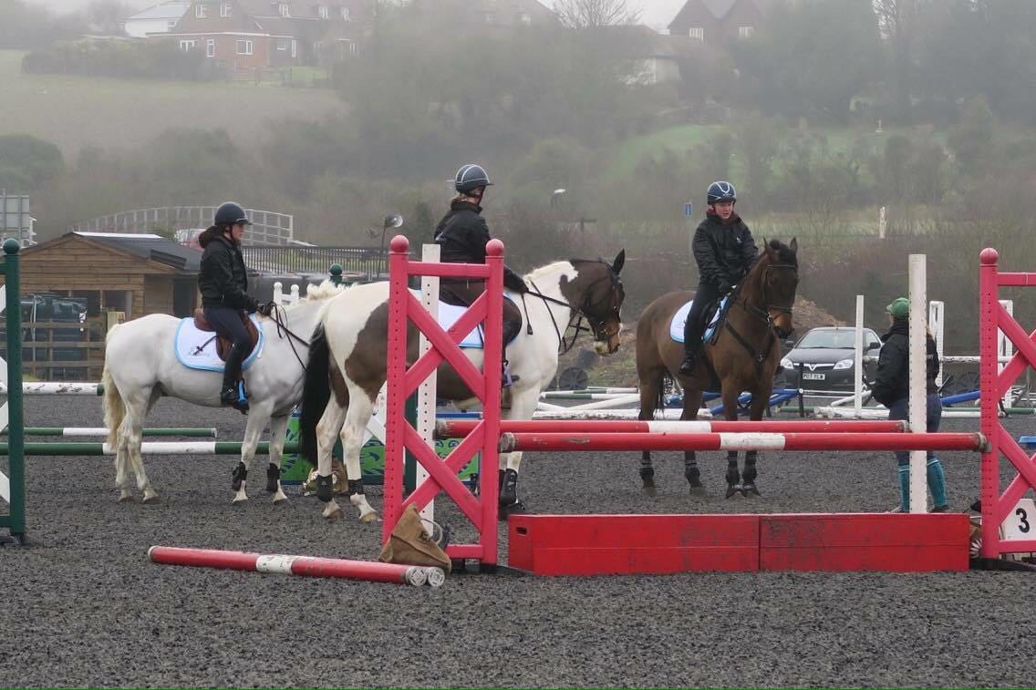 You are currently viewing Speedi-Beet Team February Updates