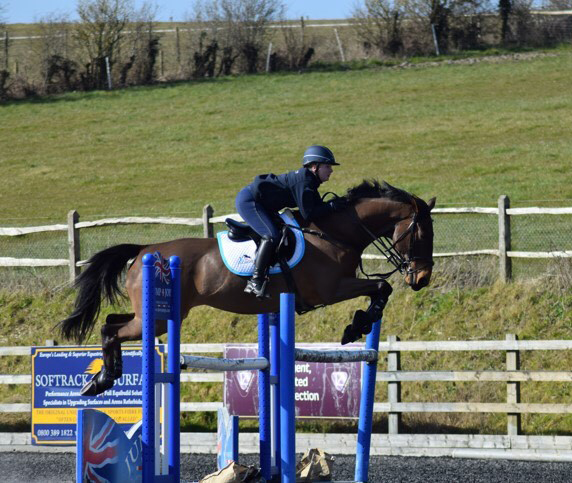 You are currently viewing Speedi-Beet Team March Updates