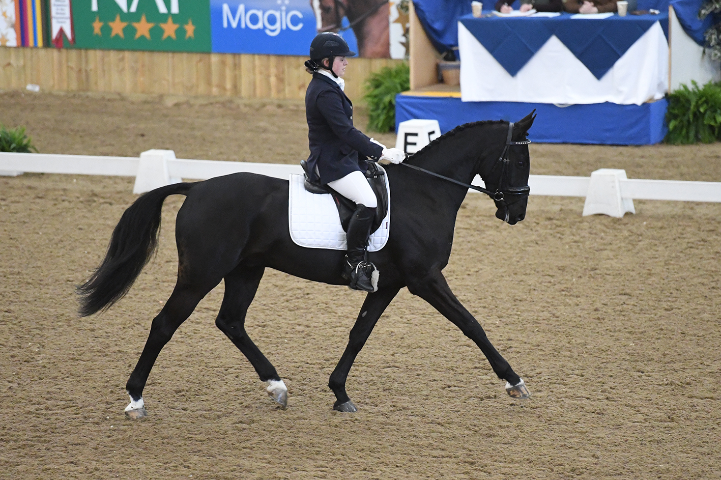 You are currently viewing Hannah Bown is Crowned Novice Restricted National Winter Champion