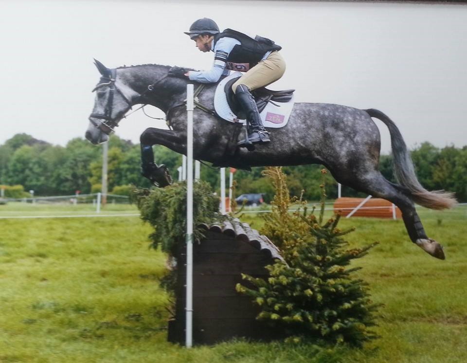 You are currently viewing Team Sommerville Update – April