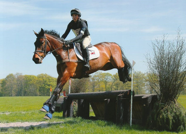 Read more about the article Team Sommerville Eventing Update – August