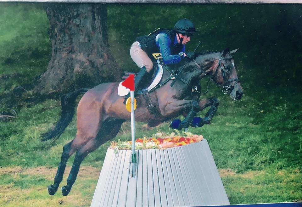 You are currently viewing Team Sommerville Update – October