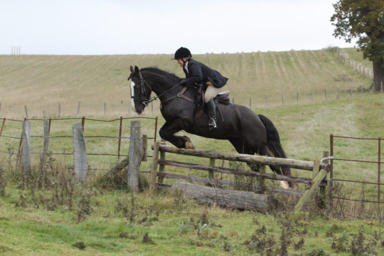 Read more about the article Sponsored Rider News – November