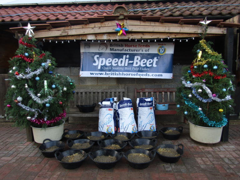 Read more about the article Sponsored riders December update
