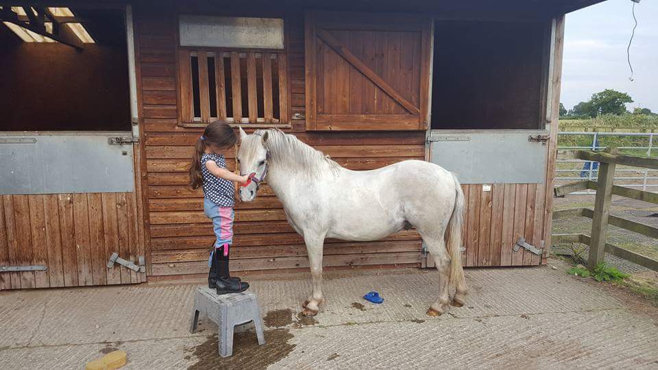 You are currently viewing Bumble Bounces Back with Fibre-Beet!