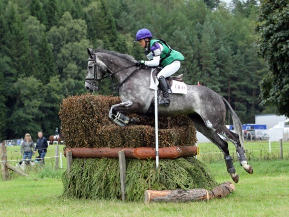 Read more about the article Fibre-Beet Sponsors DHI Event Horses