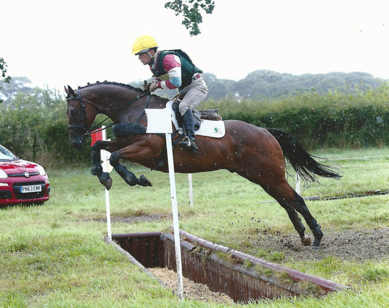 Read more about the article Rehoming an ex-racehorse