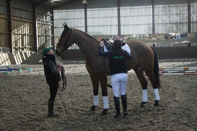 Read more about the article Team Sommerville Eventing January Update