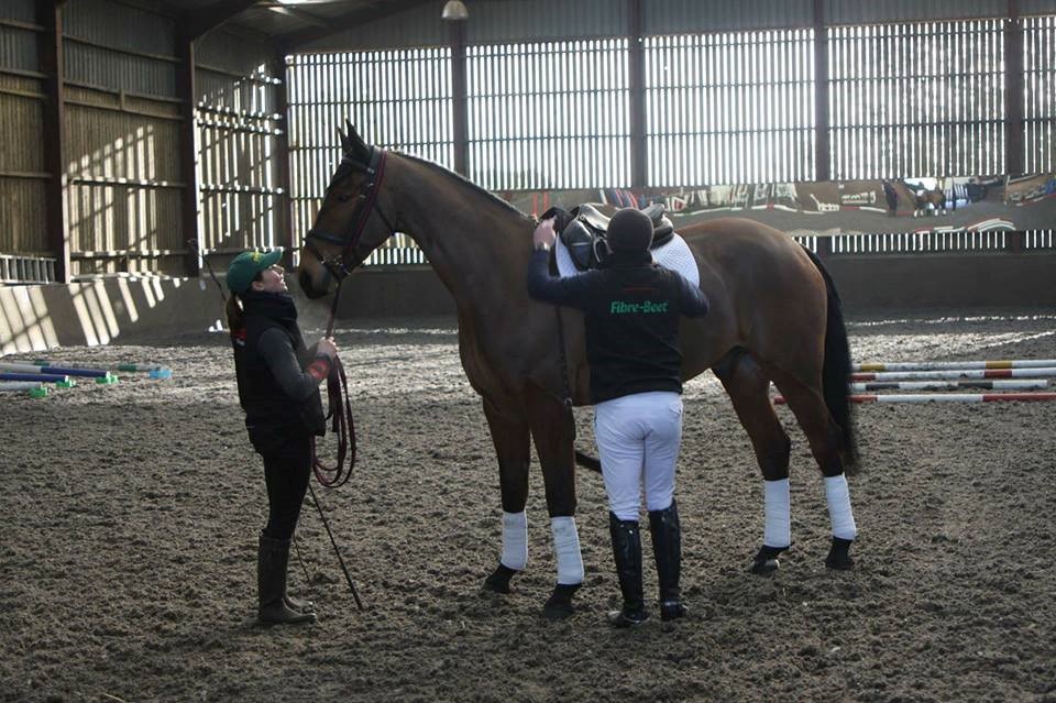 You are currently viewing Team Sommerville Eventing January Update