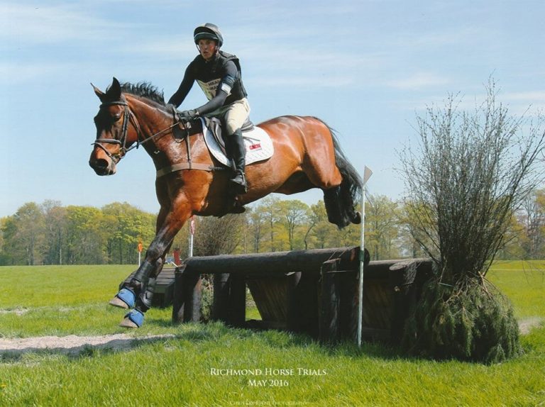 Read more about the article Training the Young Event Horse with James Sommerville