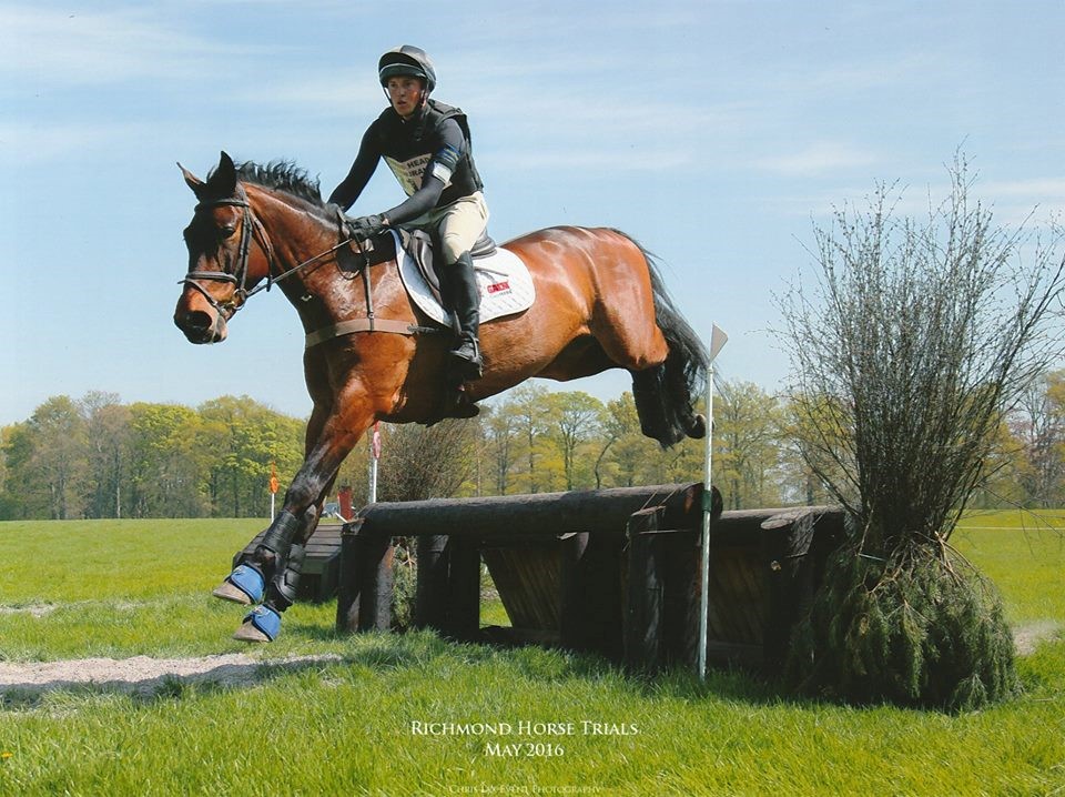 You are currently viewing Training the Young Event Horse with James Sommerville