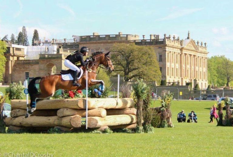 Read more about the article Team Sommerville Eventing Update