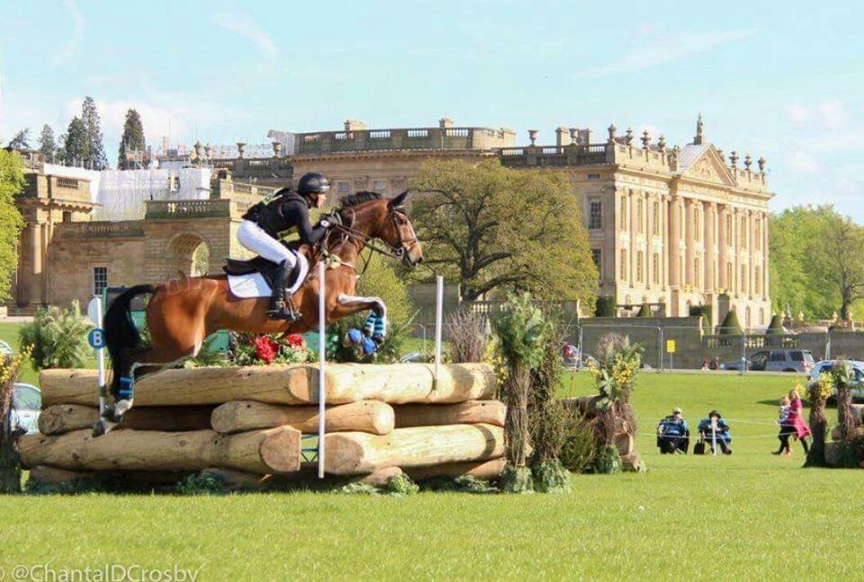 You are currently viewing Team Sommerville Eventing Update