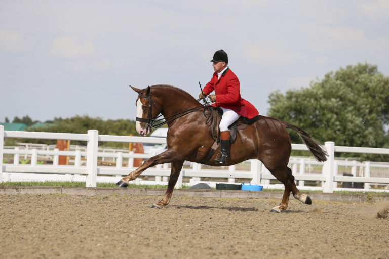 Read more about the article Perfecting the Gallop with Simon Reynolds