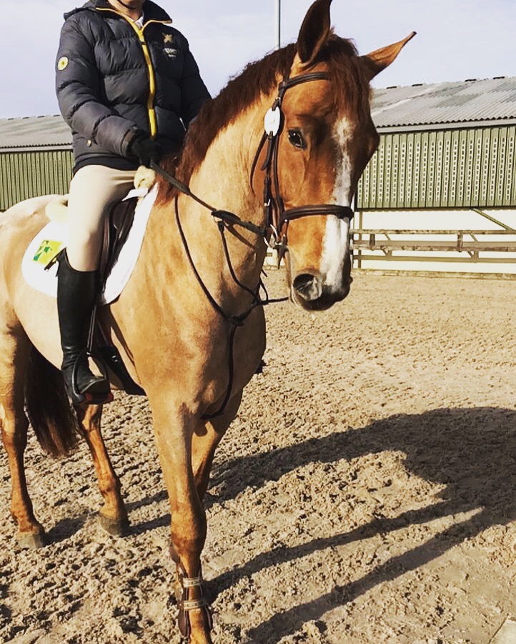 Read more about the article Pippa Allen Showjumping March News
