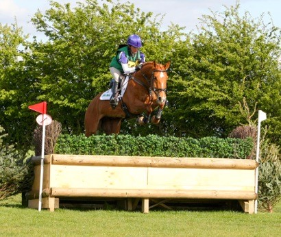 Read more about the article DHI Event Horses April update