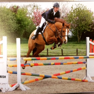 Read more about the article Pippa Allen’s April Update