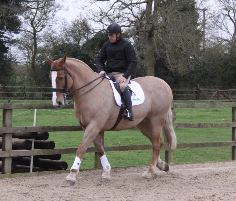 Read more about the article Improving the Walk with Simon Reynolds