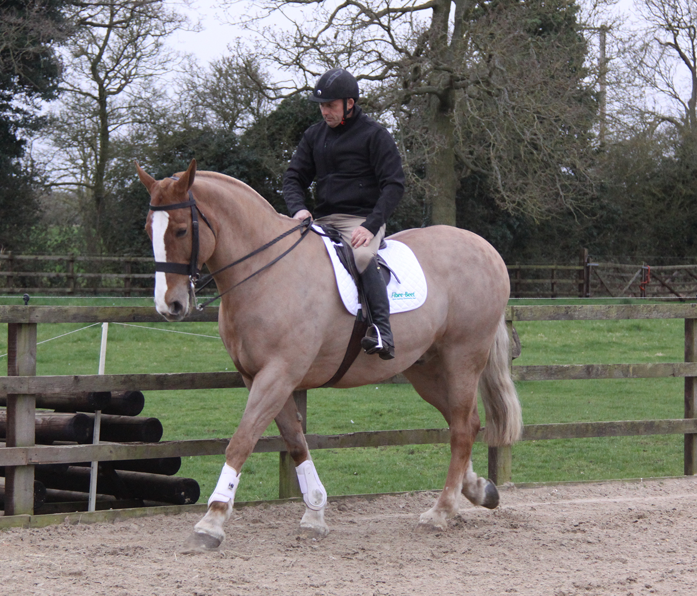 You are currently viewing Improving the Walk with Simon Reynolds