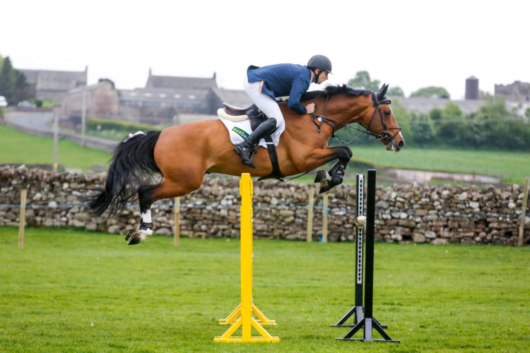 Read more about the article Christopher Smith wins the Speedi-Beet HOYS Grade C qualifier at Warrington Show