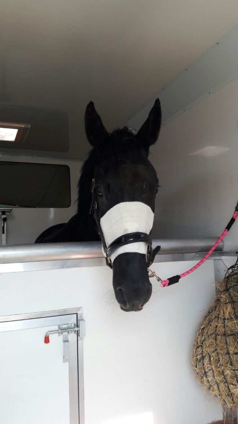 Read more about the article Sponsored rider’s May news!