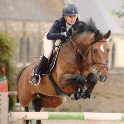 Read more about the article Pippa Allen August Update