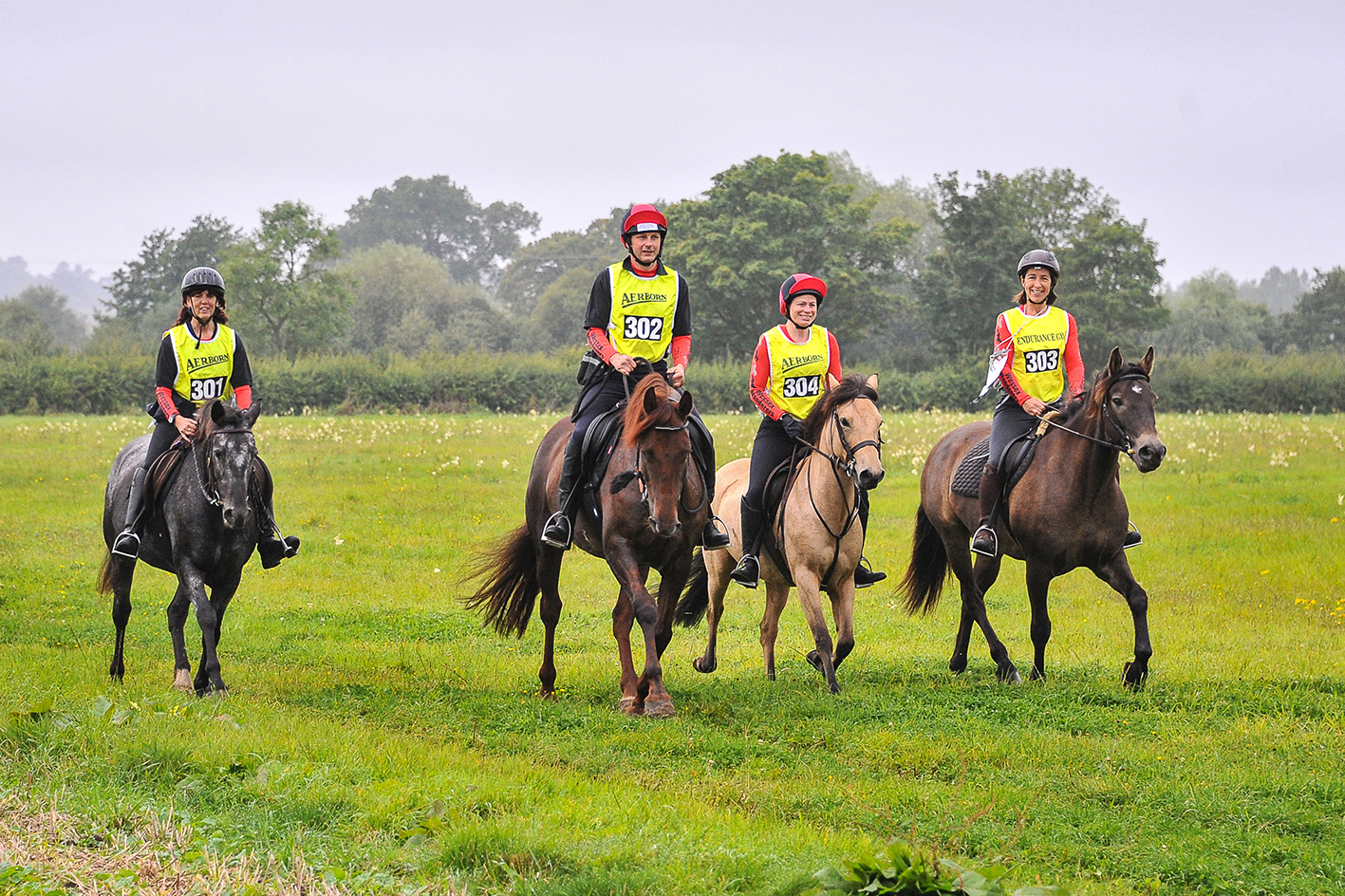 You are currently viewing Success for British Riding Clubs Endurance Team Event