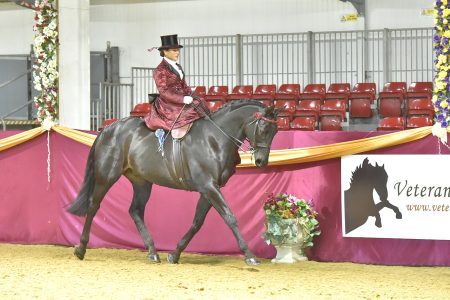 Stanley and Jane Prove Side Saddle Champions