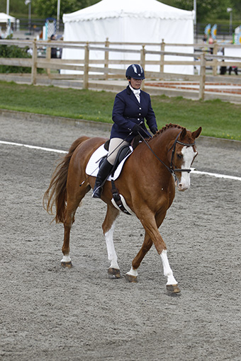 Read more about the article Fibre-Beet Sponsor British Riding Clubs Festival of the Horse