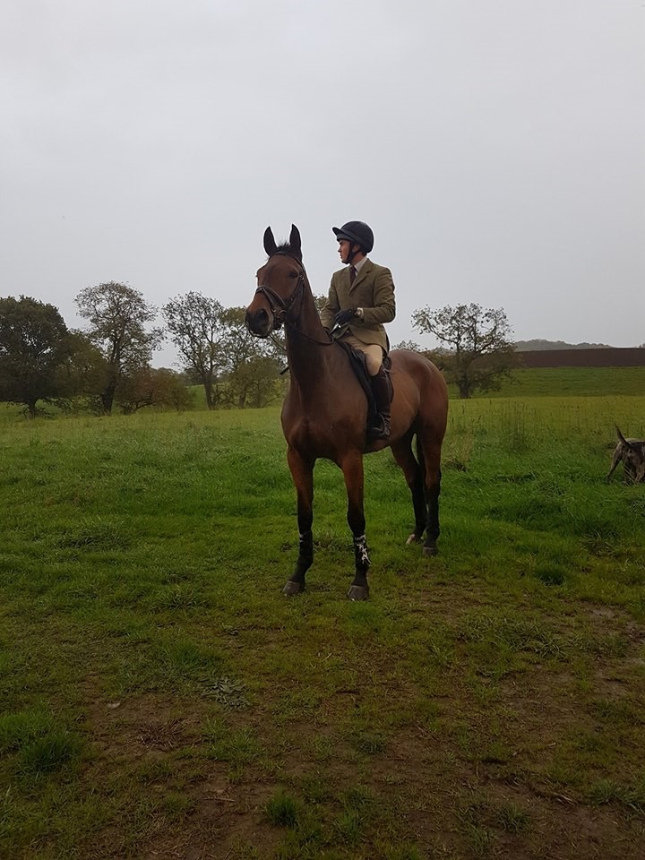 Read more about the article Team Sommerville Eventing October Update
