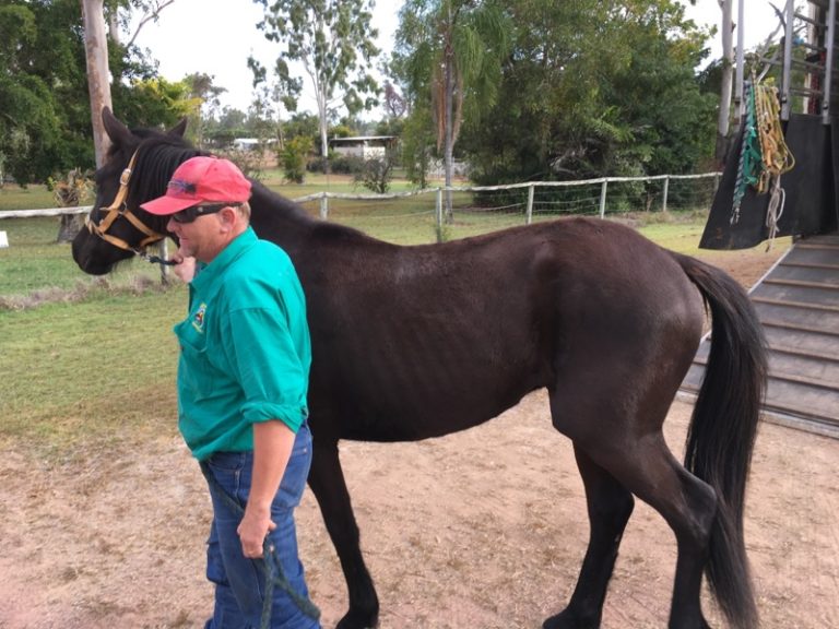 Read more about the article Fibre-Beet Helps Obe In Oz