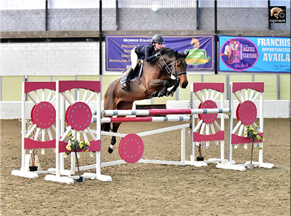 You are currently viewing Pippa Allen November Update