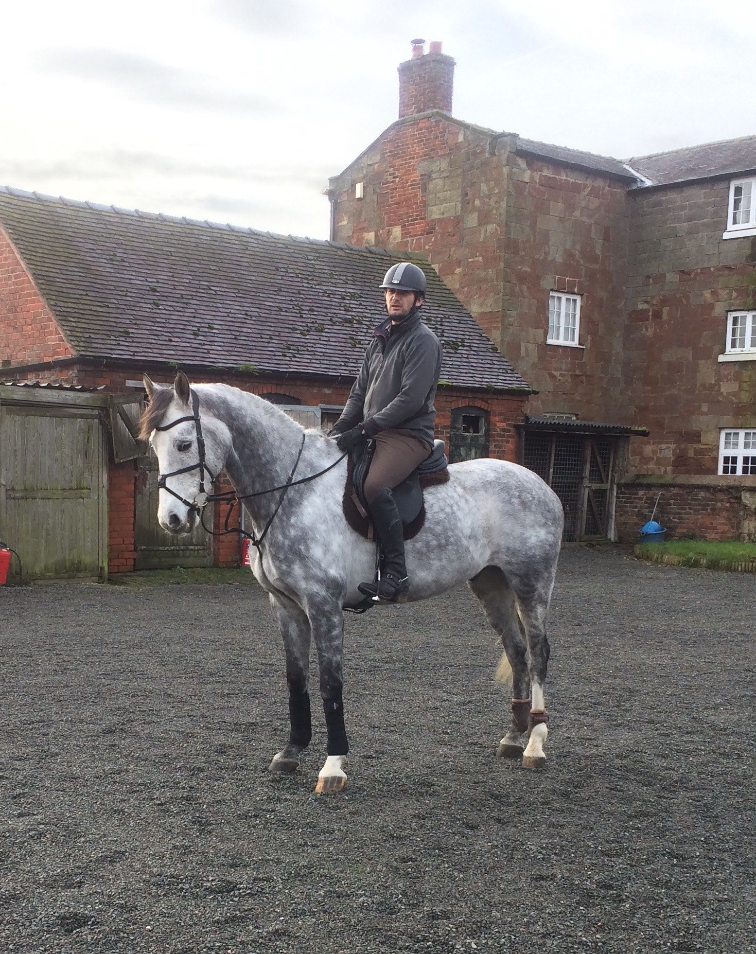 You are currently viewing Ash is BACK and doing well!