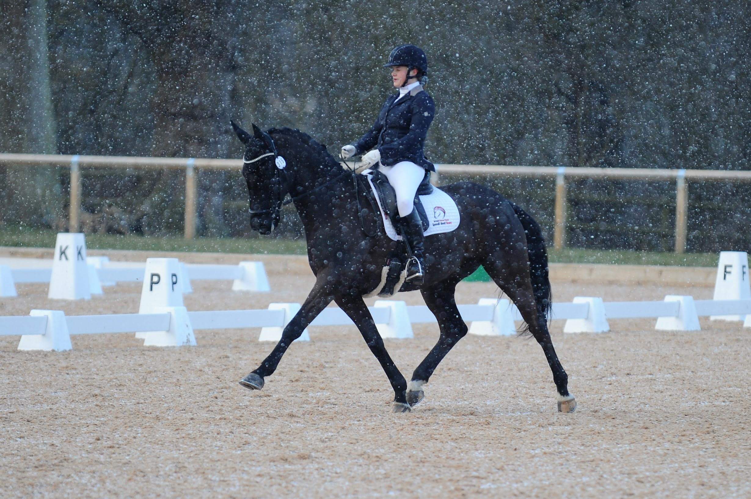 You are currently viewing Brand Ambassador’s February Update