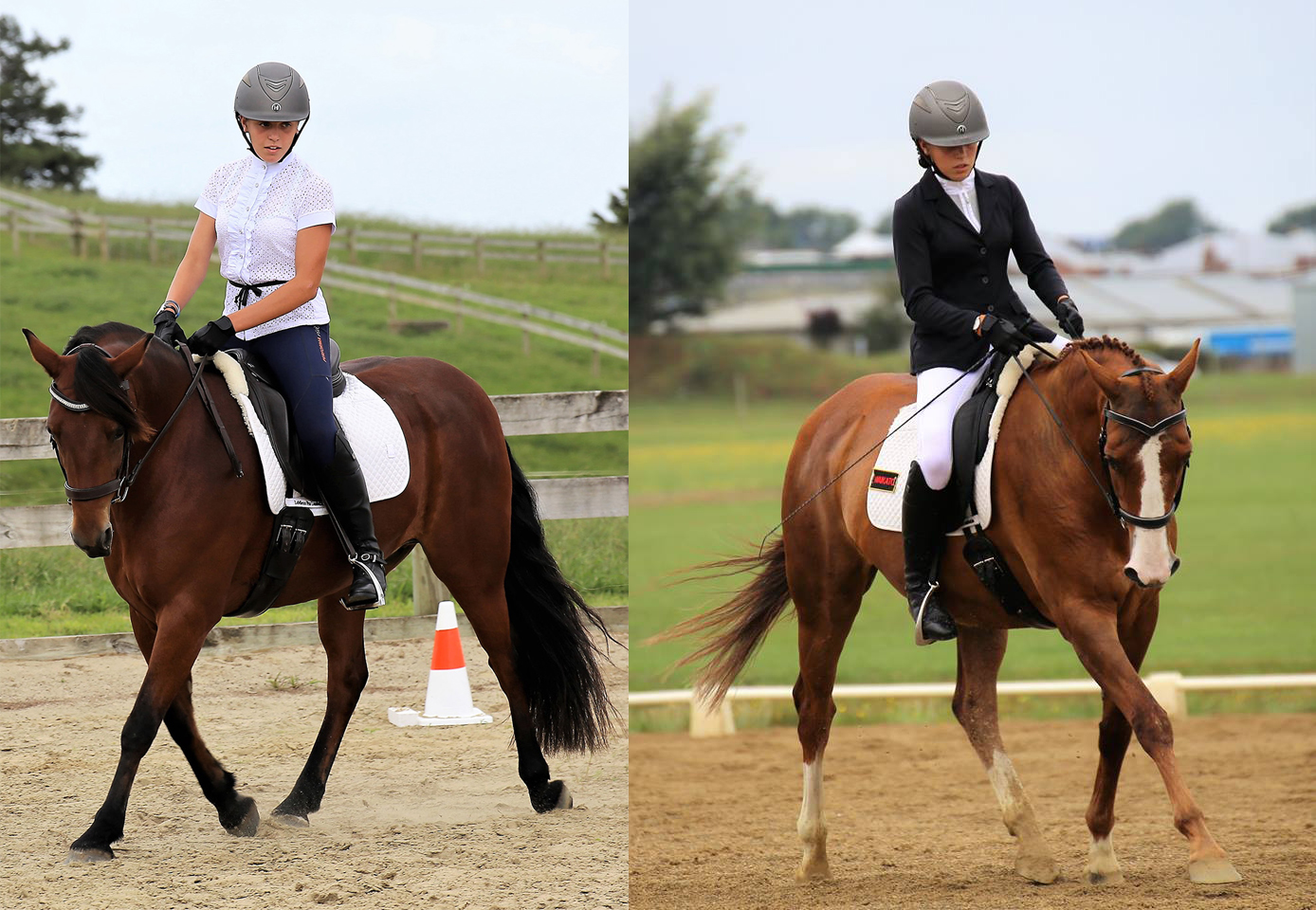 You are currently viewing Fibre-Beet Spreads its’ Wings to New Zealand