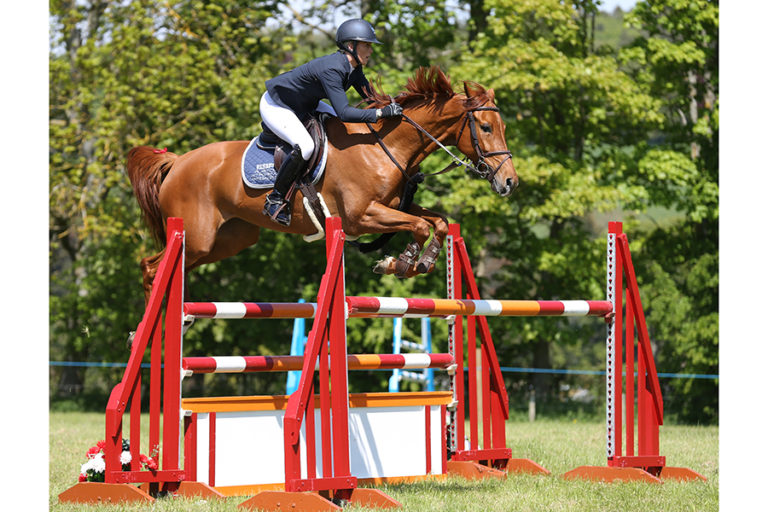 Read more about the article Annabel Shields Dominates HOYS Grade C Qualifier