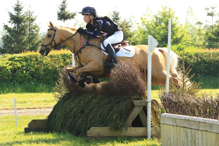 Read more about the article Festival of the Horse Championships 2018