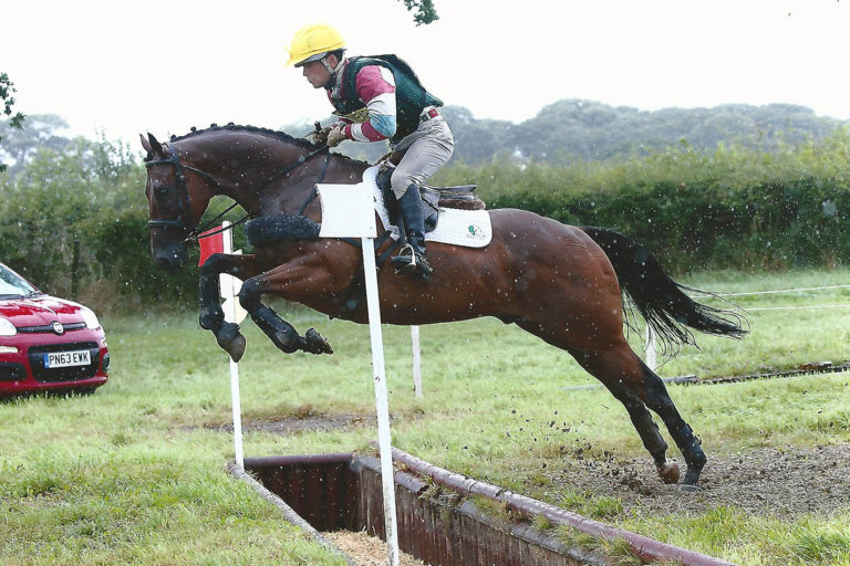 Read more about the article Chester Enjoys Life Past the Post with Fibre-Beet