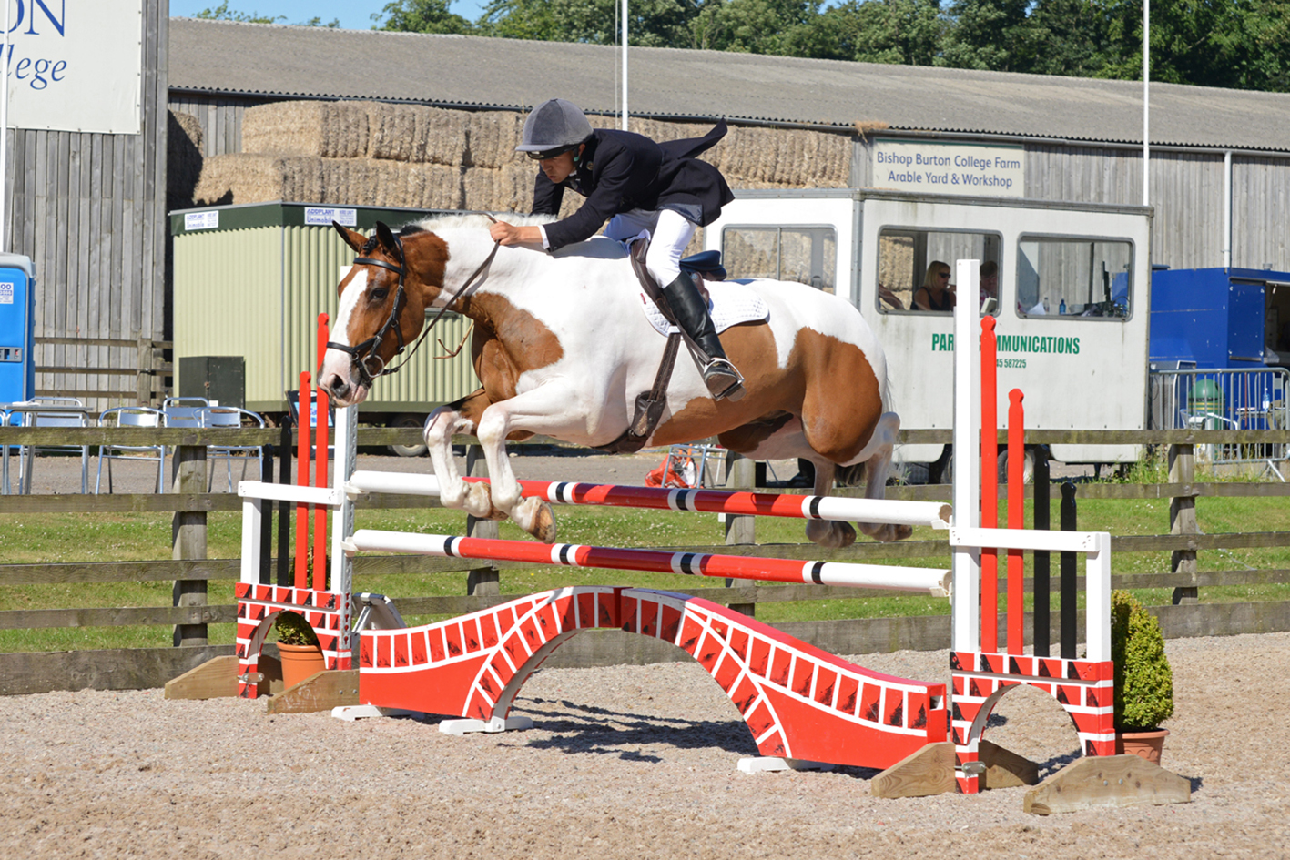 You are currently viewing Billy Bank’s June 2018 Update