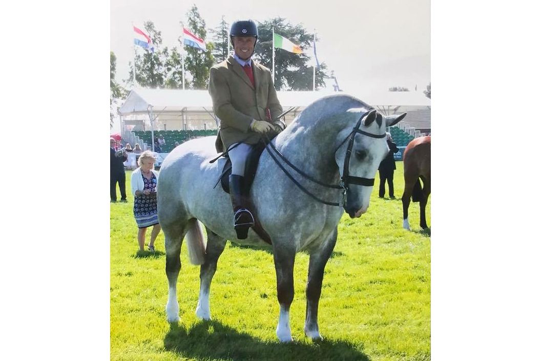 You are currently viewing Busy Month for Team Reynolds Equestrian