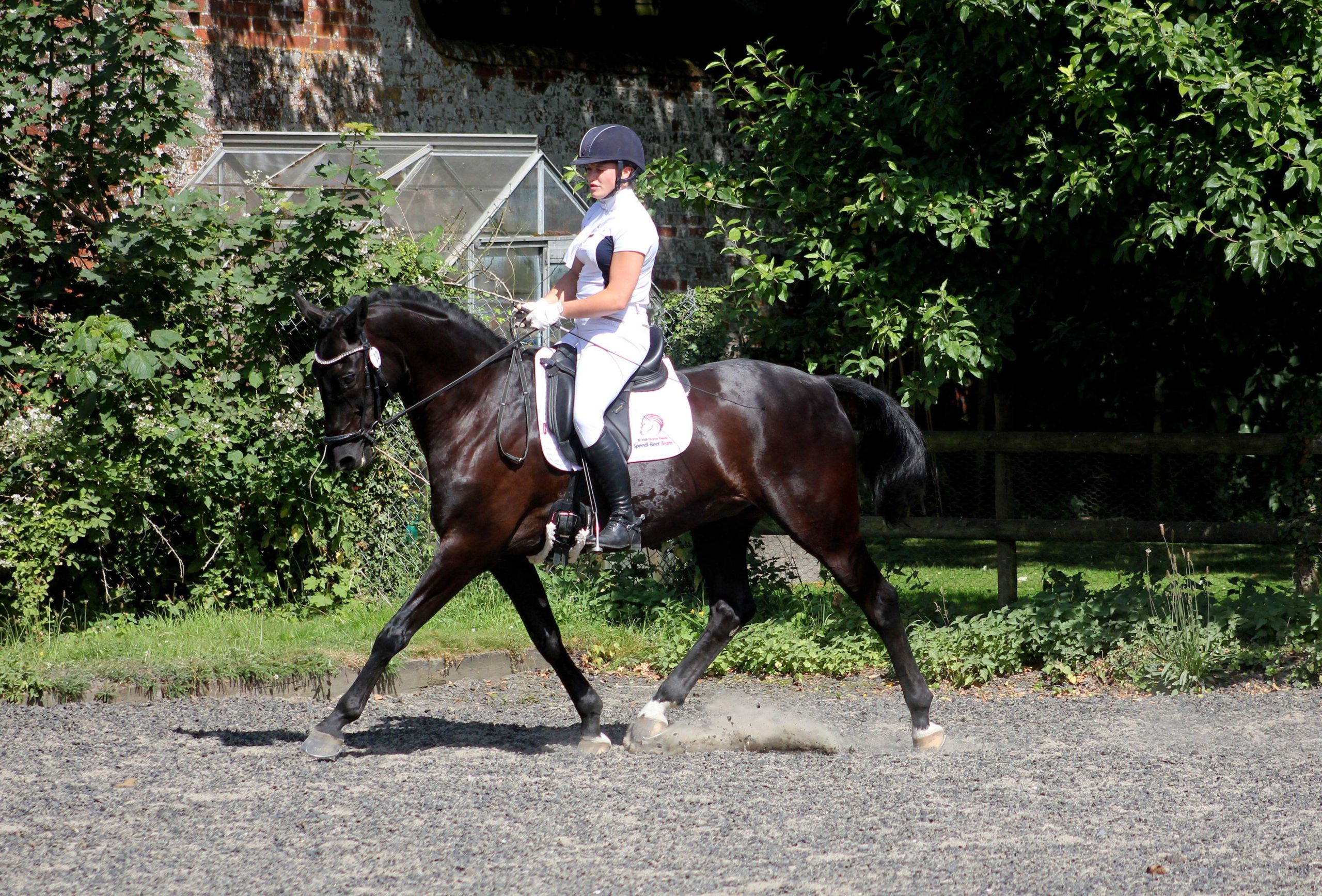 You are currently viewing Brand Ambassador’s June 2018 Update