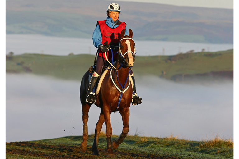 Read more about the article Continued Support of Red Dragon Festival of Endurance