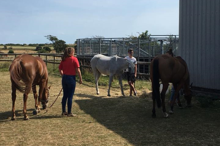 You are currently viewing Support for Team GBR Young Endurance Riders