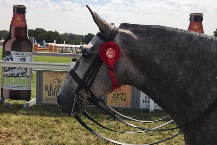 Read more about the article Good form for Team Reynolds Equestrian
