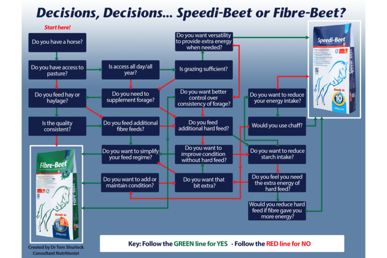Read more about the article Speedi-Beet or Fibre-Beet?