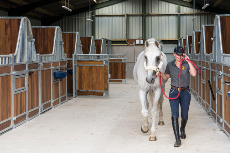 Read more about the article Pippa has been busy competing