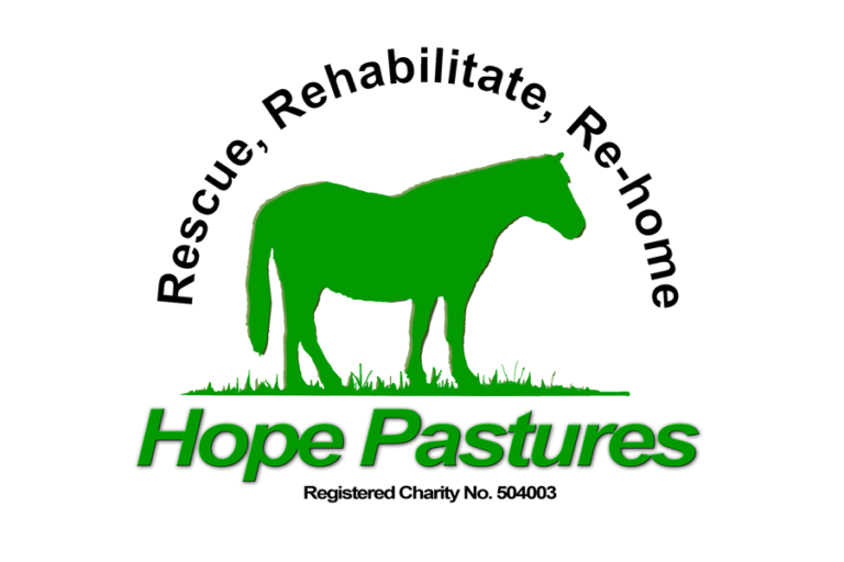 Read more about the article British Horse Feeds Support Hope Pastures