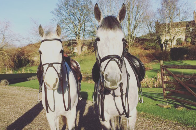 Read more about the article Harriet Falshaw’s First Blog